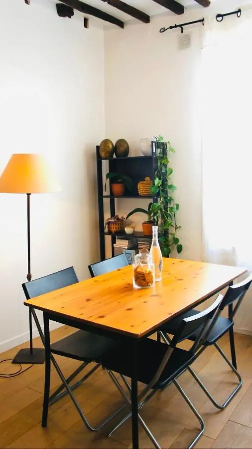 Dream In The Heart Of Le Marais Apartment Paris